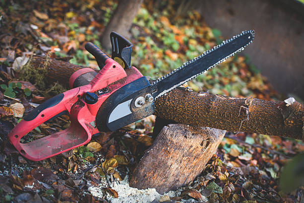 Leaf Removal in Bradner, OH